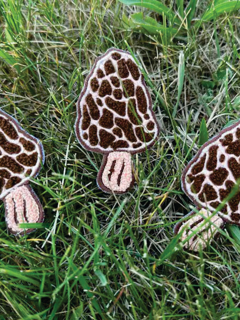 Morel Mushroom patch