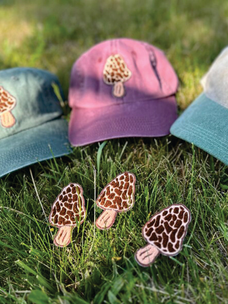 Morel Mushroom patch