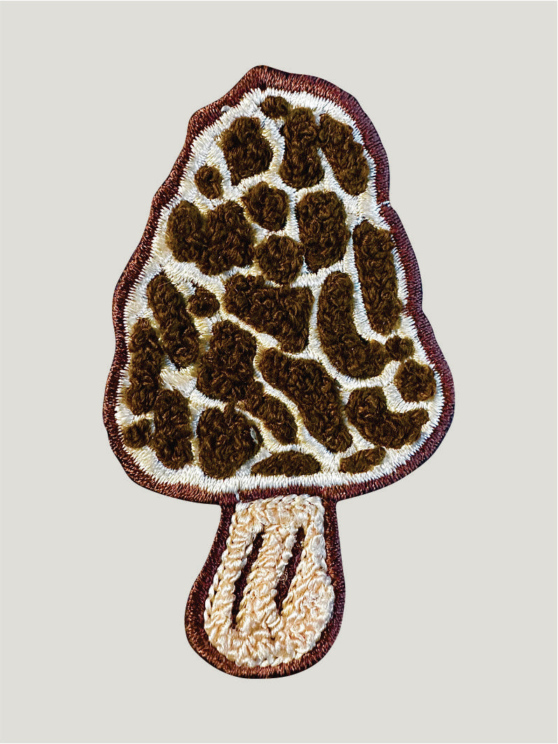 Morel Mushroom patch