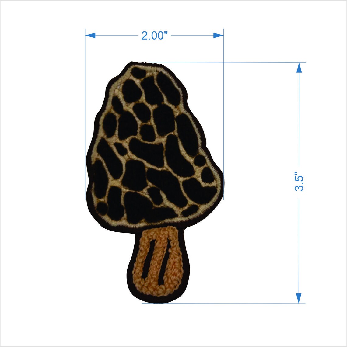 Morel Mushroom patch